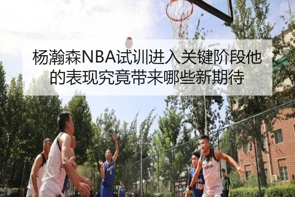 杨瀚森NBA试训进入关键阶段他的表现究竟带来哪些新期待